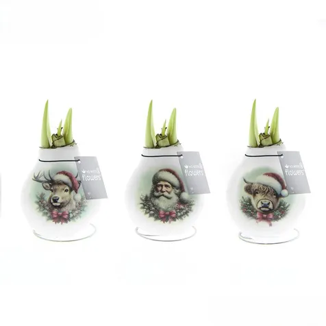 No Water Flowers® - Craftz Santa & Friends mix